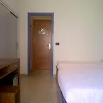 Hotel City 3* Milano Marittima