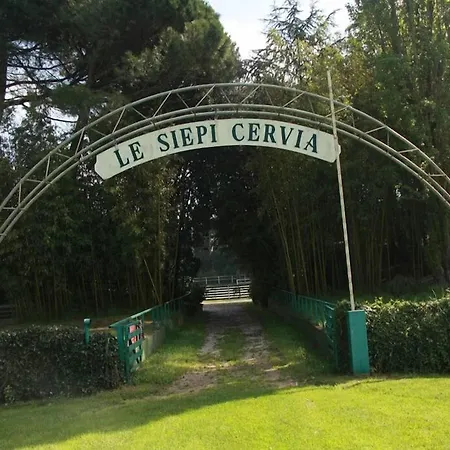 Hotel City 3* Milano Marittima