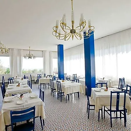 Hotel City Hotel