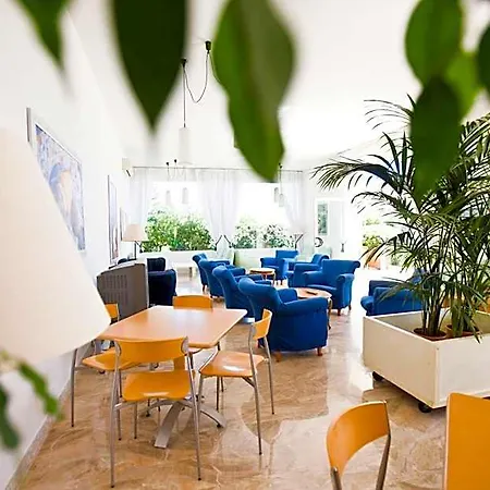 Hotel City Hotel
