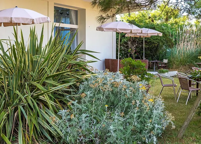 Hotel City فندق 3*