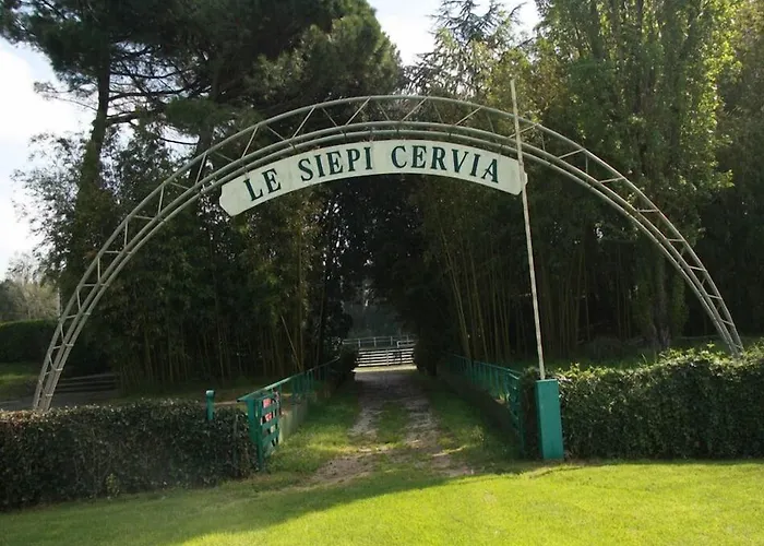 Hotel City 3* Milano Marittima